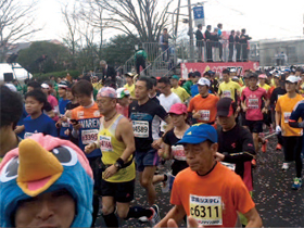 Saga Sakura Marathon