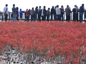 Shichimenso Festival